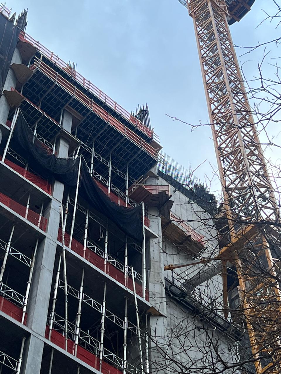 Developer